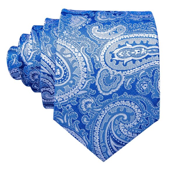 Blue & White Paisley Necktie Set - Picture 2 of 2
